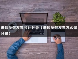 进项负数发票会计分录（进项负数发票怎么做分录）