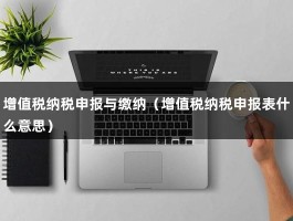 增值税纳税申报与缴纳（增值税纳税申报表什么意思）