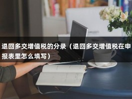 退回多交增值税的分录（退回多交增值税在申报表里怎么填写）