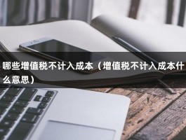 哪些增值税不计入成本（增值税不计入成本什么意思）