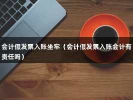 会计假发票入账坐牢（会计假发票入账会计有责任吗）