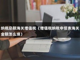 纳税总额海关增值税（增值税纳税申报表海关金额怎么填）