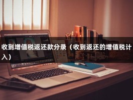 收到增值税返还款分录（收到返还的增值税计入）