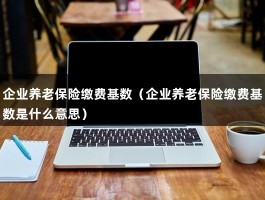 企业养老保险缴费基数（企业养老保险缴费基数是什么意思）