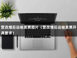 营改增后运输发票图片（营改增后运输发票开具要求）