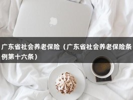 广东省社会养老保险（广东省社会养老保险条例第十六条）