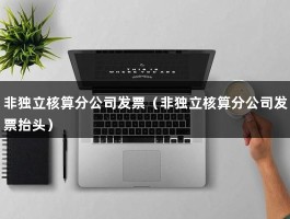 非独立核算分公司发票（非独立核算分公司发票抬头）