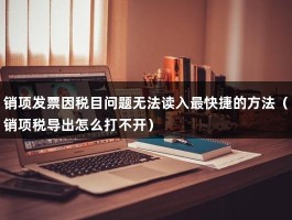 销项发票因税目问题无法读入最快捷的方法（销项税导出怎么打不开）