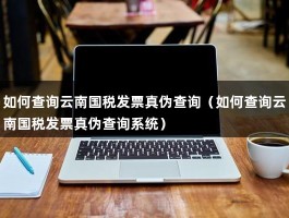 如何查询云南国税发票真伪查询（如何查询云南国税发票真伪查询系统）