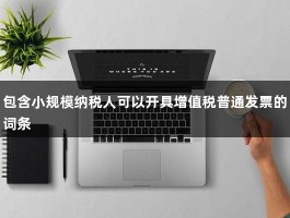 包含小规模纳税人可以开具增值税普通发票的词条