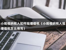 小规模纳税人如何报增值税（小规模纳税人报增值税怎么填写）