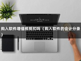 购入软件增值税抵扣吗（购入软件的会计分录）