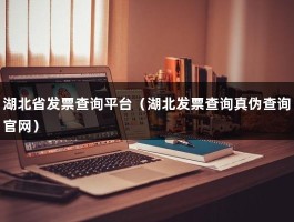 湖北省发票查询平台（湖北发票查询真伪查询官网）