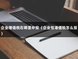 企业增值税在哪里申报（企业报增值税怎么报）