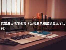 发票进出项怎么算（公司发票进出项怎么个比例）