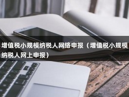 增值税小规模纳税人网络申报（增值税小规模纳税人网上申报）