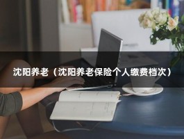 沈阳养老（沈阳养老保险个人缴费档次）