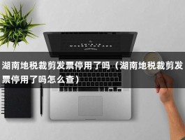 湖南地税裁剪发票停用了吗（湖南地税裁剪发票停用了吗怎么查）